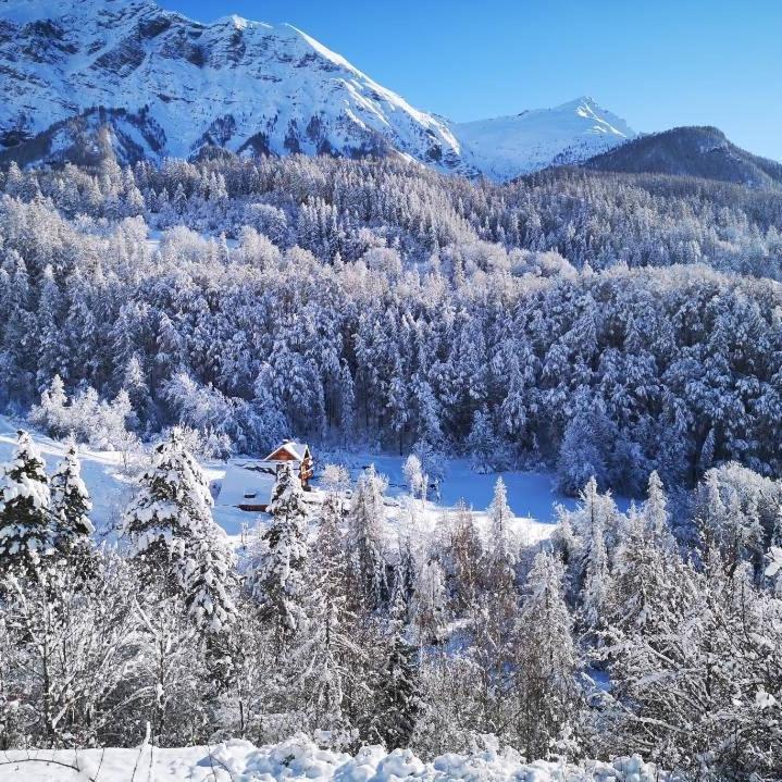 Chalet De Pont Peyron L'Ours Orcieres Bagian luar foto